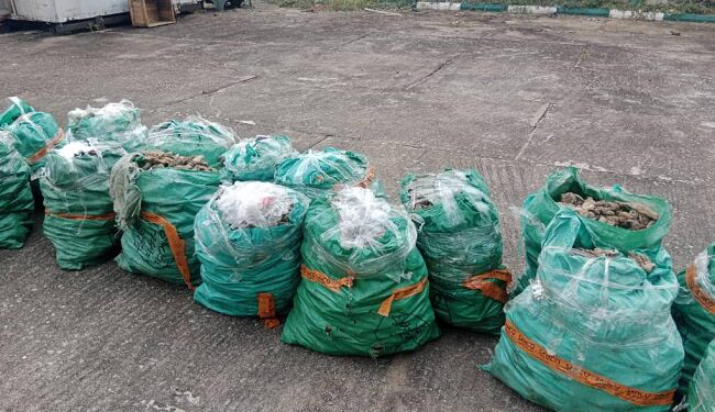 Customs Seizes Donkey Male Genitals Worth N1.23bn At Lagos Airport