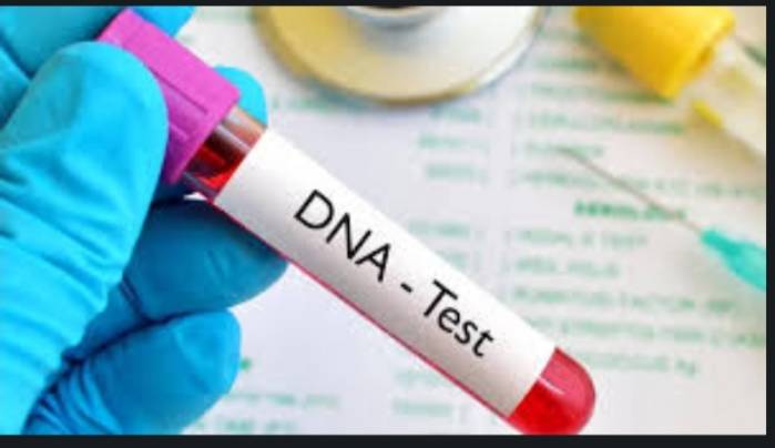 DNA Relationship Testing Show 74% Of Tested Men In Nigeria As Biological Fathers