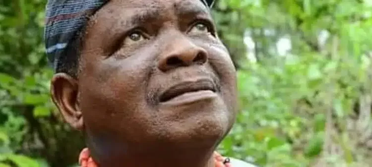 I Had To Undergo A Surgery That Stopped My Sexual Performance – Nollywood Actor, Kola Oyewo