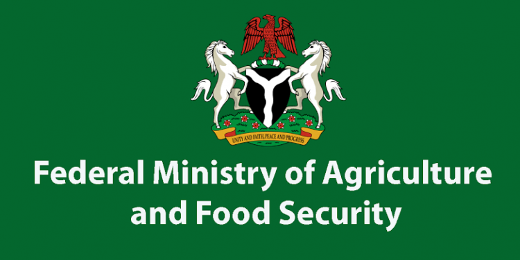 Inflation: Stakeholders Advocate Gender Sensitive Budget