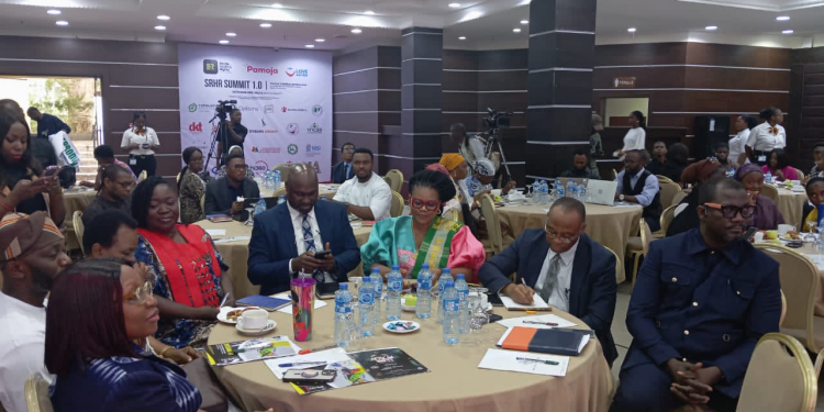 Stakeholders Alarmed By 610,000 Unsafe Abortions In Nigeria, Urge Contraceptive Access