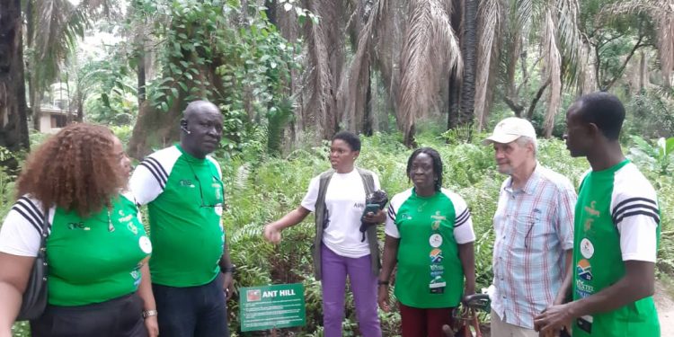 ”You Are Not Just Planting Trees, You’re Planting Blessings,” Dr. Majekodunmi Lauds OMTI