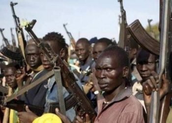 Bandits attack National Park Service Office in Oyo, kill personnel